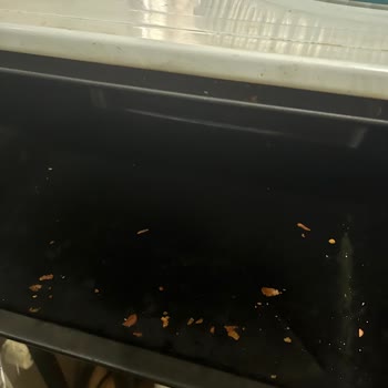 Eleman Yönlendir Eksik Ve Düzensiz Temizlik Hizmeti, Erken Ayrılan Personel Ve Maddi Mağduriyet