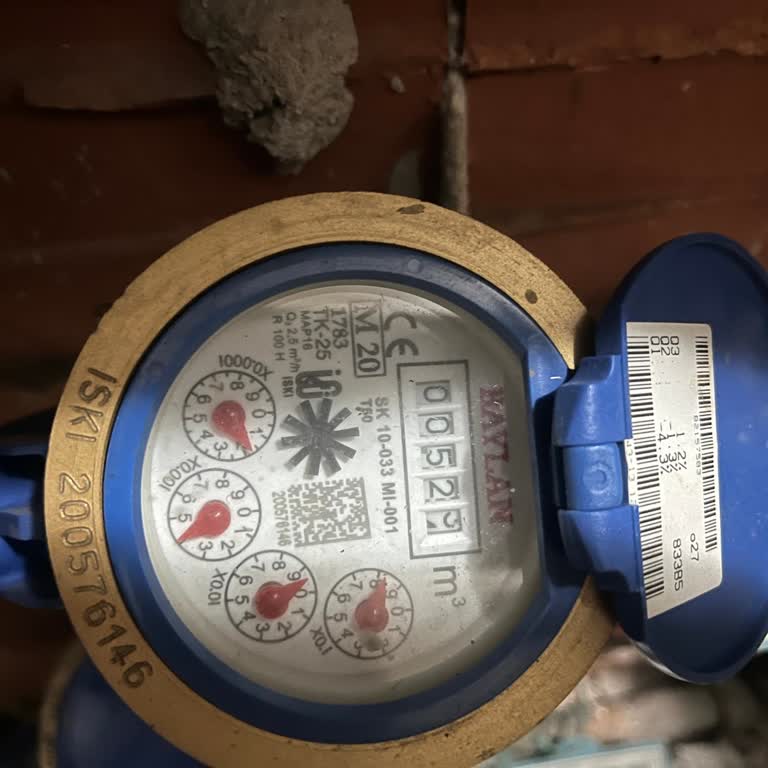 Tekrarlayan Yüksek Su Faturası Ve Sayaç Hatası Şüphesi İçin Acil Çözüm Talebi