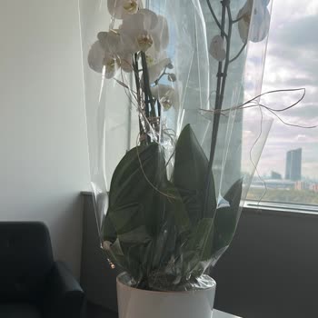 Yanlış Ve Eksik Ürün, Çözüm Sunulmuyor!