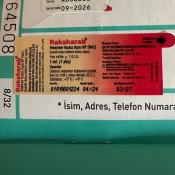 Kuduz Aşısı Sonrası Kedimde Ciddi Alerjik Reaksiyon Ve Güvenlik Endişesi