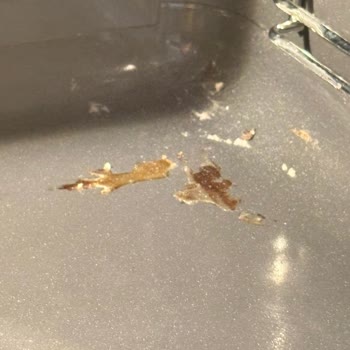 Electrolux Yetkili Servis Hatası Nedeniyle Yeni Fırınım Zarar Gördü