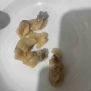 Son Kullanma Tarihi Geçmemiş Superfresh Mantı Bozuk Çıktı