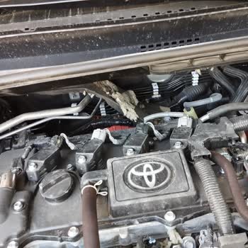 Garanti Kapsamındaki Toyota C-HR Aracımda Kemirgen Zararı İçin Çözüm Bulamıyorum