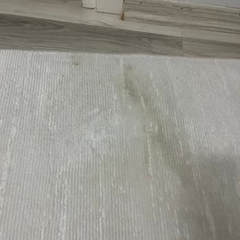 Islak Ve Lekeli Halı Teslimatı, İzinsiz Video Çekimi Ve Fatura Sorunu