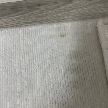 Islak Ve Lekeli Halı Teslimatı, İzinsiz Video Çekimi Ve Fatura Sorunu