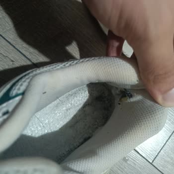 Kısa Sürede Deforme Olan New Balance Ayakkabı İçin Değişim Talebi