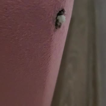 Aldığım Çocuk Odası Hasarlı Ve Kirli Geldi, Parça Değişimini Kabul Etmiyorum