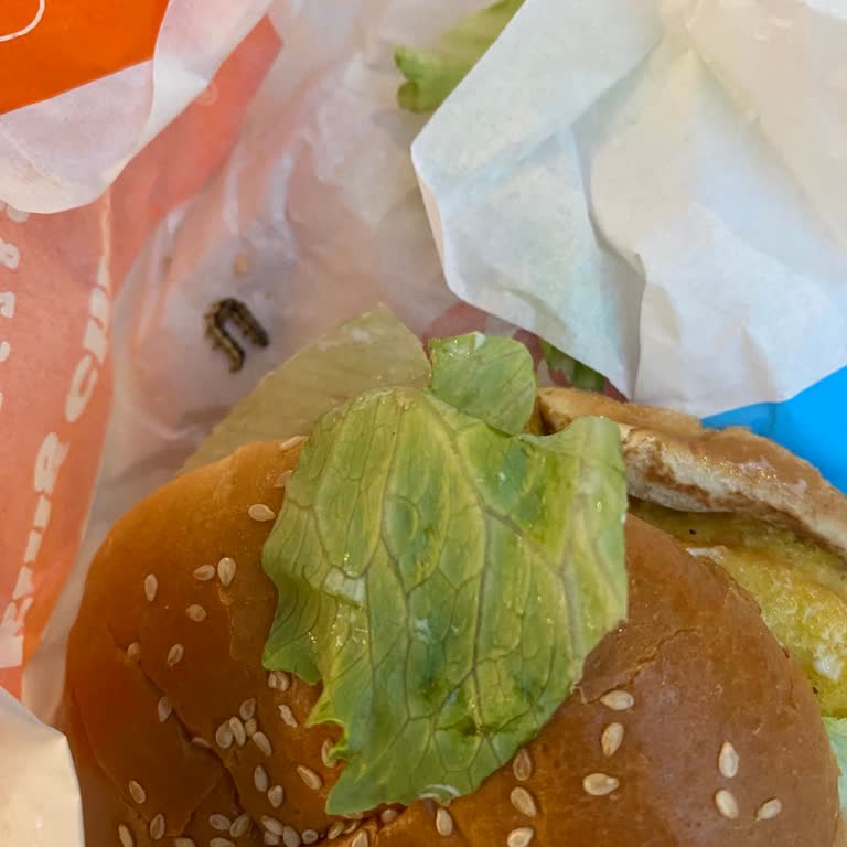 Hamburgerde Tırtıl Çıktı, Hijyen Skandalı Yaşadım