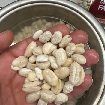 Duru Dermason Fasulye İlk Denemede Hayal Kırıklığı