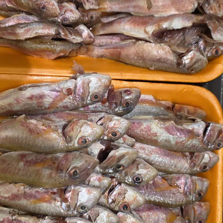 Taze Balık Yerine Bozulmuş Ve Dondurulmuş Ürün Gönderildi, Ücret İadesi Talebim Var