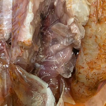 Taze Balık Yerine Bozulmuş Ve Dondurulmuş Ürün Gönderildi, Ücret İadesi Talebim Var