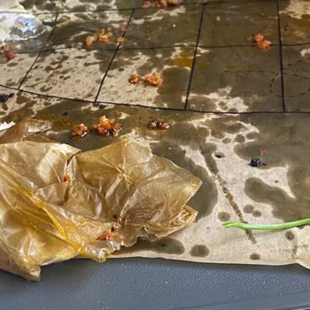 Pidem Cadde 54 AVM Şubesinde Lahmacun Menüden Memnun Kalmadım