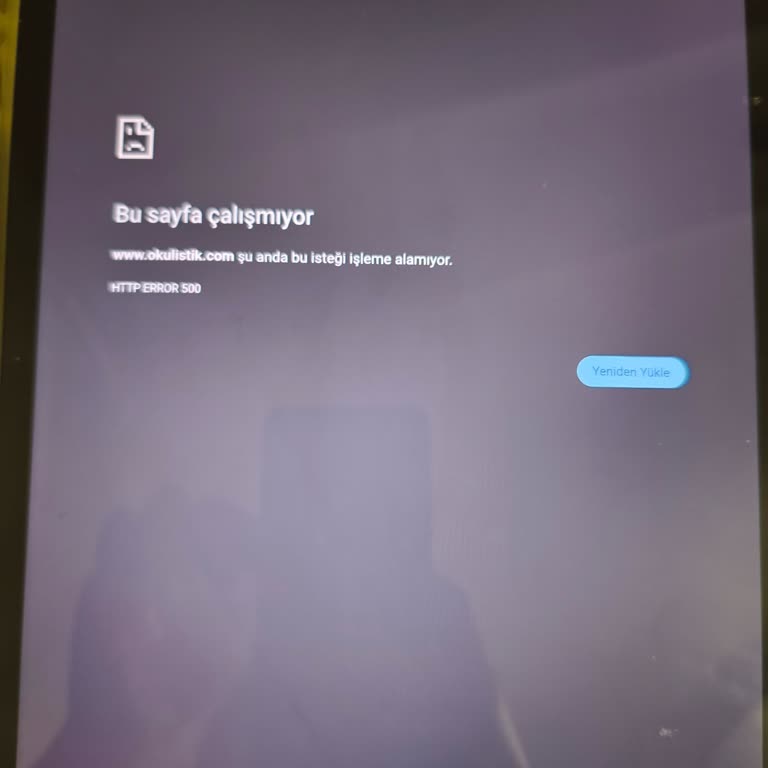 Sınav Dönemi Yaklaşınca Okulistik Uygulamasında Tekrar Eden Erişim Sorunu