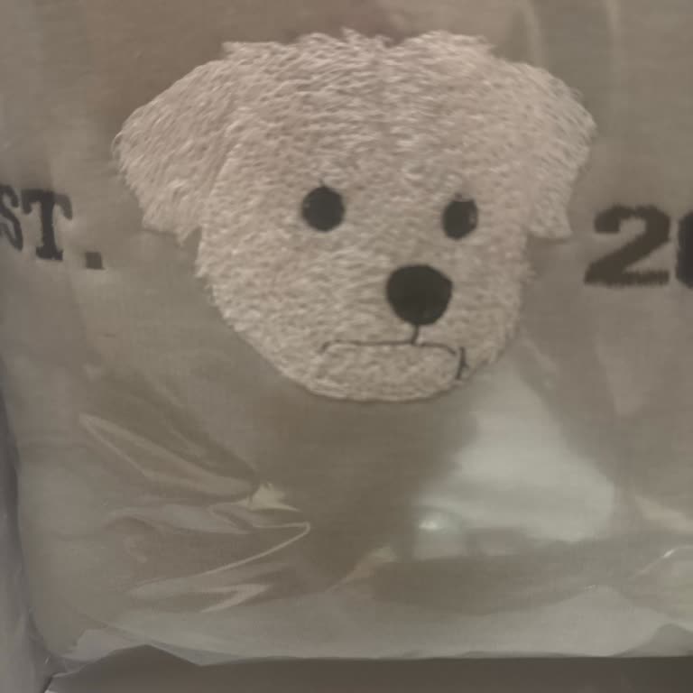 Sipariş Edilen Özel Tasarım Tişört Beklentileri Karşılamadı Ve Geç Teslim Edildi