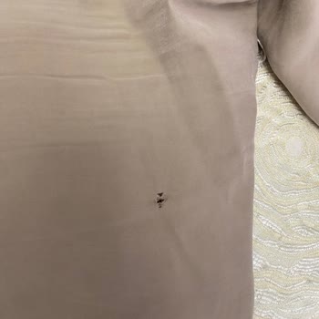 Kısa Sürede Yıpranan Ürünler İçin Çözüm Bekliyorum