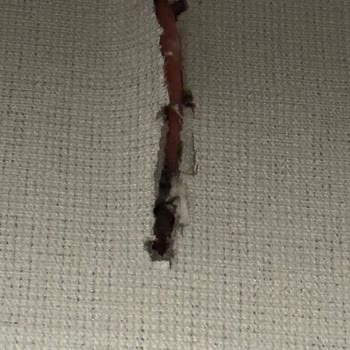 Agoda Booking Refund - White Monarch Hotel Unsanitary Conditions