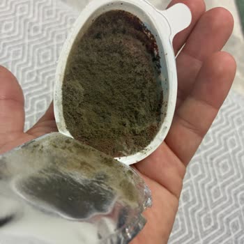 Aldığım Ozmo Sürpriz Yumurta Küflü Çıktı, Sağlığım Tehlikeye Girdi