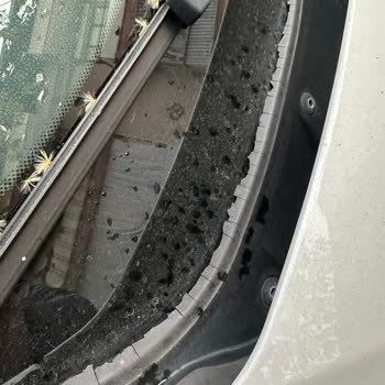 BMW F30 Cam Fitillerinde Sürekli Tekrarlayan Çürüme Sorunu