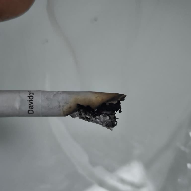 Davidoff Burgundy Sigaralarda Kalite Sorunu Ve Düzgün Yanmama Problemi