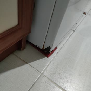 Bosch Çamaşır Makinesi Buhar Ve Pas Sorunu Çözülmüyor