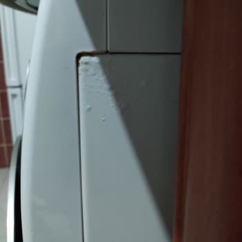 Bosch Çamaşır Makinesi Buhar Ve Pas Sorunu Çözülmüyor