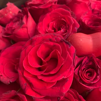 Nişan İçin Solmuş Ve Bozulmuş Çiçek Gönderildi