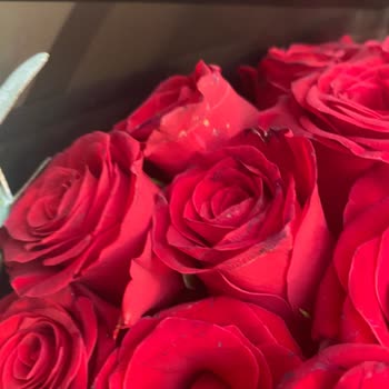 Nişan İçin Solmuş Ve Bozulmuş Çiçek Gönderildi