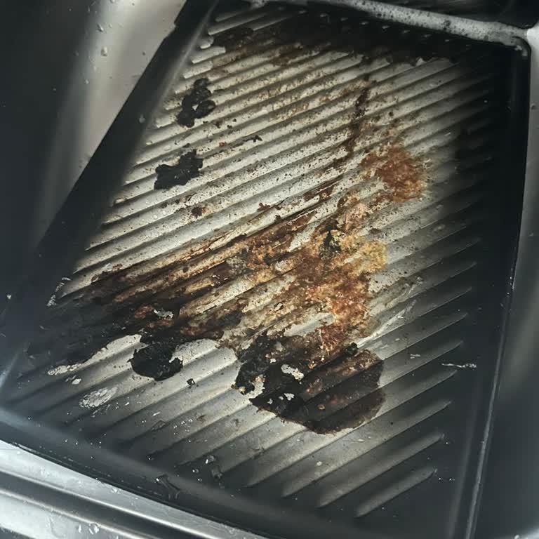 Essenso Tost Makinesinin İç Yüzey Kaplaması Soyuldu, Yedek Parça Bulamıyorum!