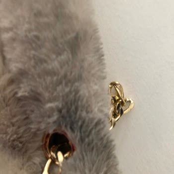 Lekeli Ve Kirli Çanta Gönderimi, Müşteri Hizmetlerinden Yanıtsızlık