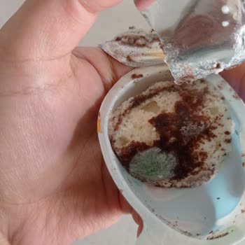 Küflü Ozmo Sürpriz Yumurta İle Hayal Kırıklığı Ve Güven Sorunu