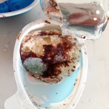 Küflü Ozmo Sürpriz Yumurta İle Hayal Kırıklığı Ve Güven Sorunu