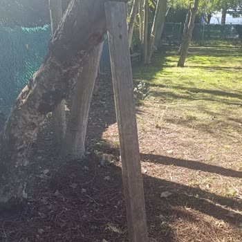 Parktaki Bakımsızlık Nedeniyle Yaşanan Sorunlar ve Çözüm Talebi