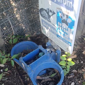 Parktaki Bakımsızlık Nedeniyle Yaşanan Sorunlar ve Çözüm Talebi