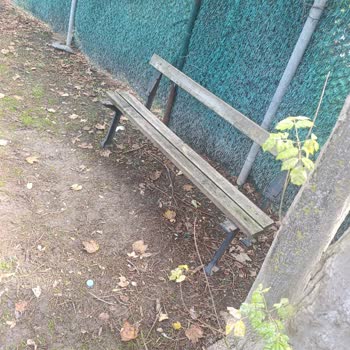 Parktaki Bakımsızlık Nedeniyle Yaşanan Sorunlar ve Çözüm Talebi