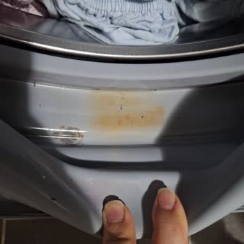 Bosch Çamaşır Makinesi Lastiğinde İnatçı Küf Ve Kararma Sorunu