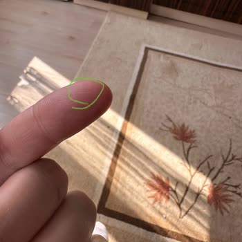 Lezita Salamdan Kıl Çıktı, Ücret İadesi Ve Özür Bekliyorum