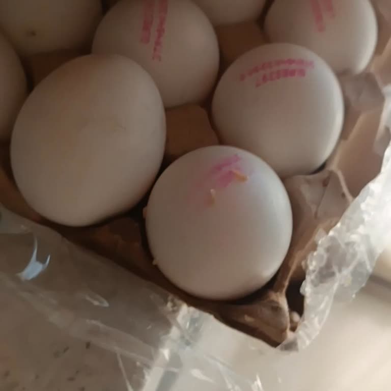 Aldığım Yumurtada Kurtlar Ve Islak Karton Şoku!