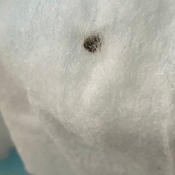 Bebek Islak Mendilinde Böcek Şoku: Acil Açıklama Ve İade Talebi