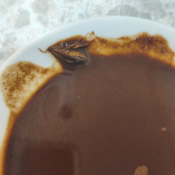 Mehmet Efendi Türk Kahvesi Paketinde Böcek Çıkması Güvenimi Sarstı