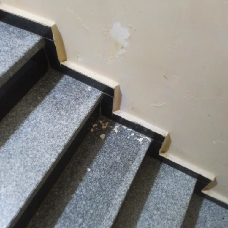 Zorunlu Konut Sigortası Hem Kapsam Dışı Hem İptal Edilmiyor: Mağduriyet Yaşıyorum