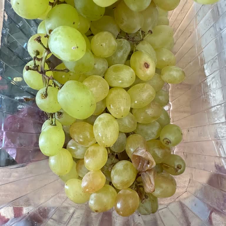 Yemeksepeti Market’ten Sürekli Bozuk Ürün Ve Çözüm Sunulmayan Şikayetler