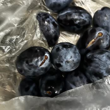 Son Kullanma Tarihi Geçmiş Ve Bozuk Ürünler, Çözüm Yok!