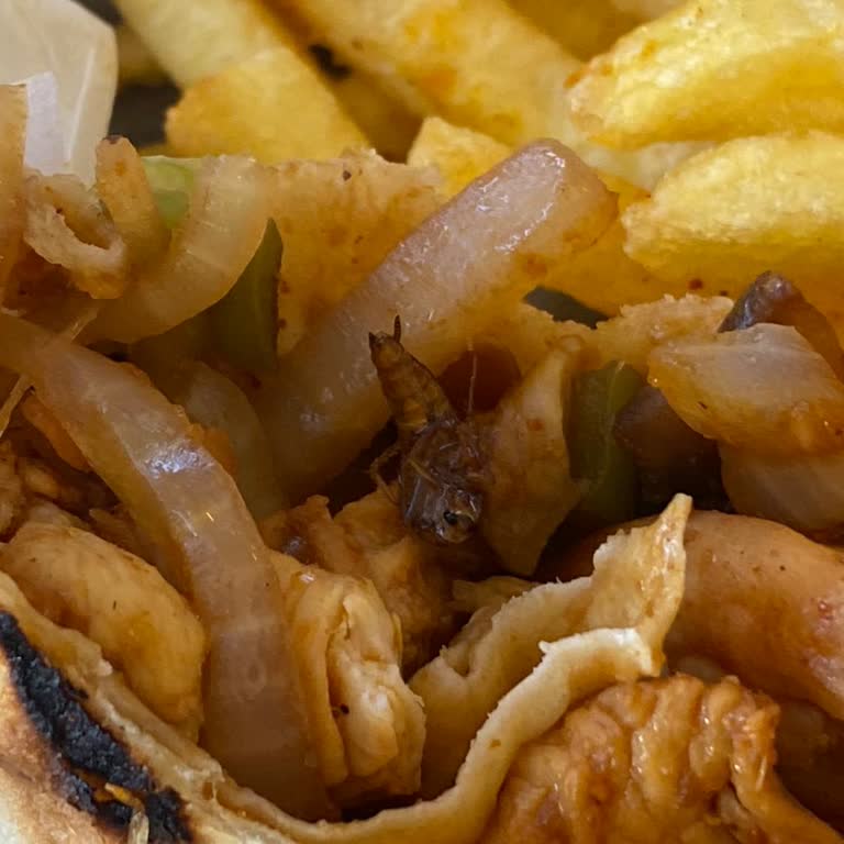 Yemekte Böcek Çıkması Ve Yetersiz Restoran İlgisi