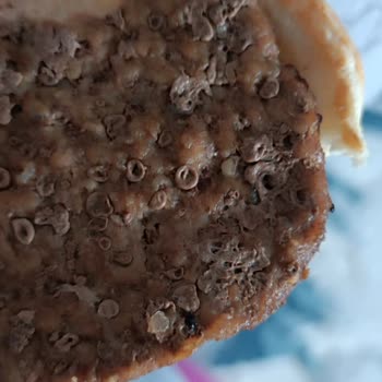 Burger King'den Gelen Whopper Menüde Köfte Kalitesi Sorunu Ve İade Talebi