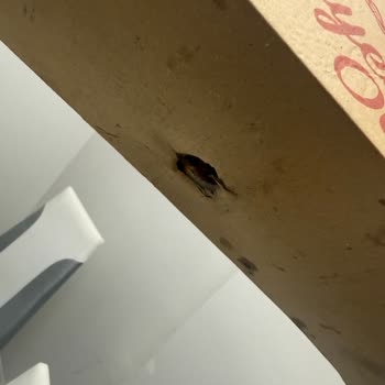 Teslim Edilen Lahmacunların Tüketilemez Durumda Olması Ve Yetersiz İade