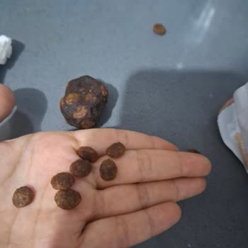 Petlebi Siparişimde Çıkan Bilinmeyen Madde Ve Garip Koku Hakkında Açıklama Talebi