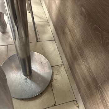 Hijyen Eksikliği Ve Bakımsızlık Nedeniyle Rahatsızlık Duyduğumuzu Belirtmek İstiyorum