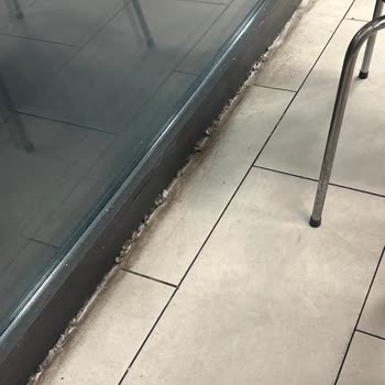 Hijyen Eksikliği Ve Bakımsızlık Nedeniyle Rahatsızlık Duyduğumuzu Belirtmek İstiyorum