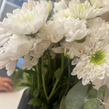Çiçek Sepeti'nden Gelen Solmuş Ve Yanlış Çiçekler Mağduriyet Yarattı