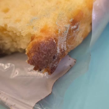 Taze Olması Gereken Kek Küflü Çıktı, İletişim Sorunu Yaşadım